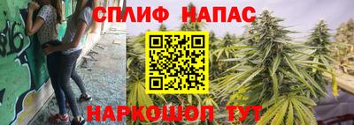 дурь Гагарин