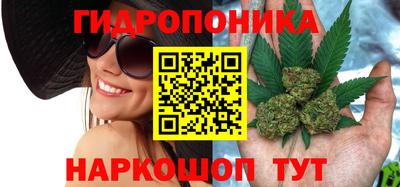 дурь Гагарин