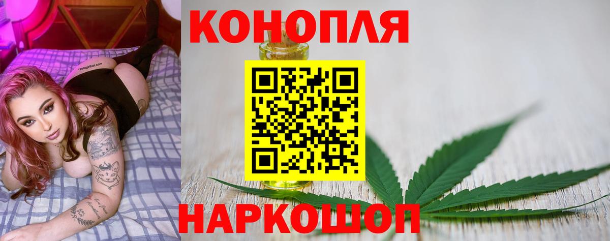 Бошки марихуана Amnesia Мыски